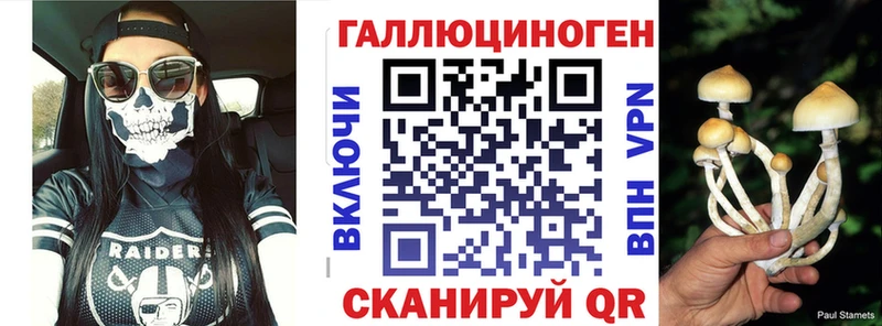 OMG как зайти  Борисоглебск  Псилоцибиновые грибы Psilocybine cubensis 